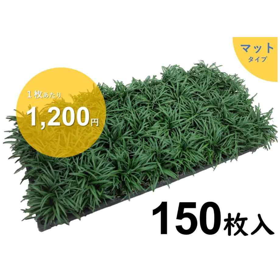 602f8bee6e84d55fb5e2efb4