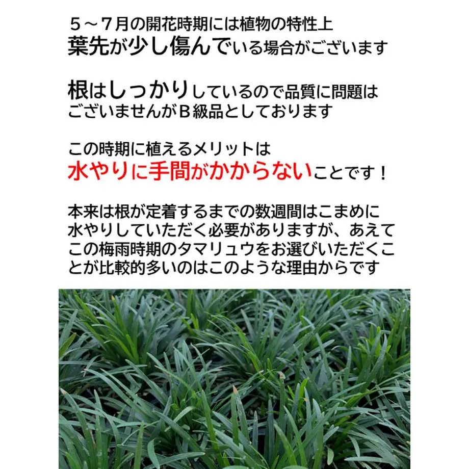 60a6095950a48a1bbcfe06eb