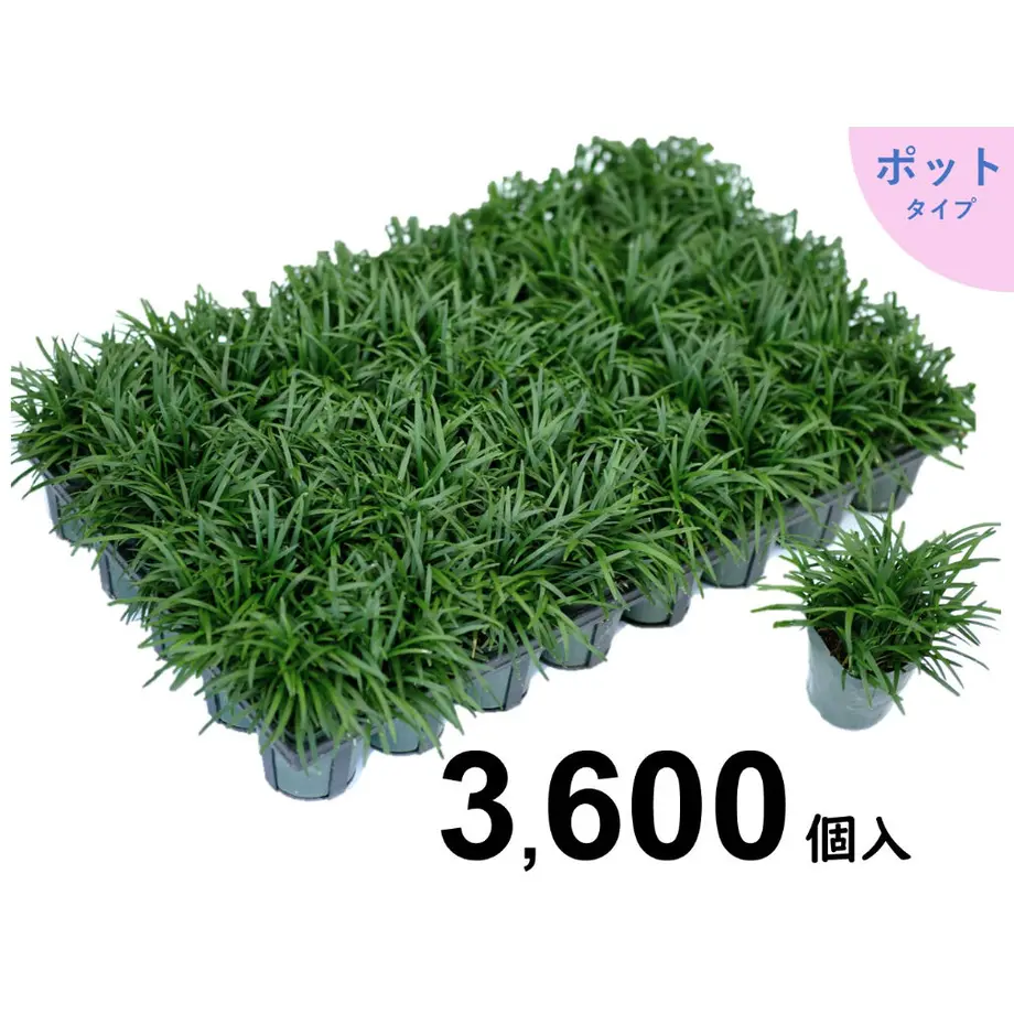 627e018ef3de5c5fcfdfc98e
