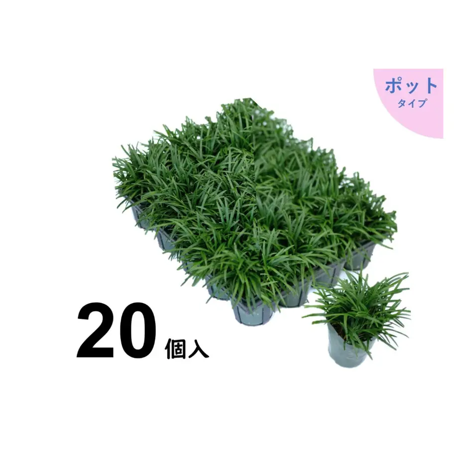 5e2462a3707cec5c008c0af3