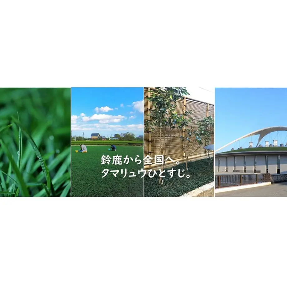 5e245f0168d16354039fd026