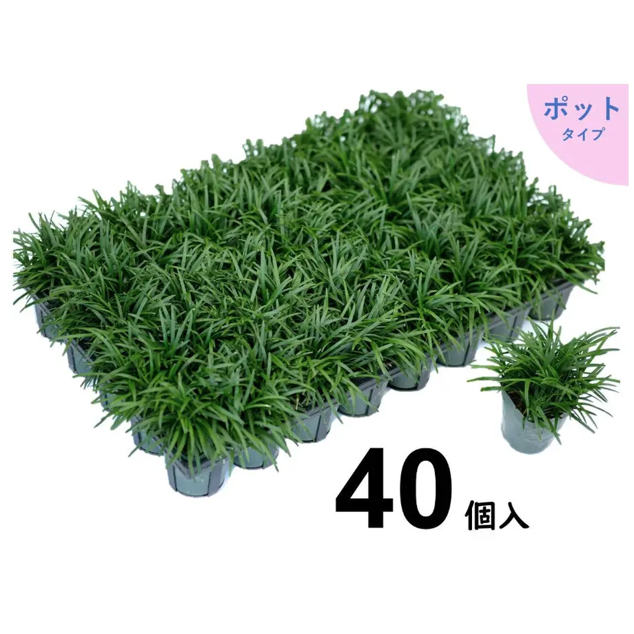 5e2461c4fa03d736ef9d987b