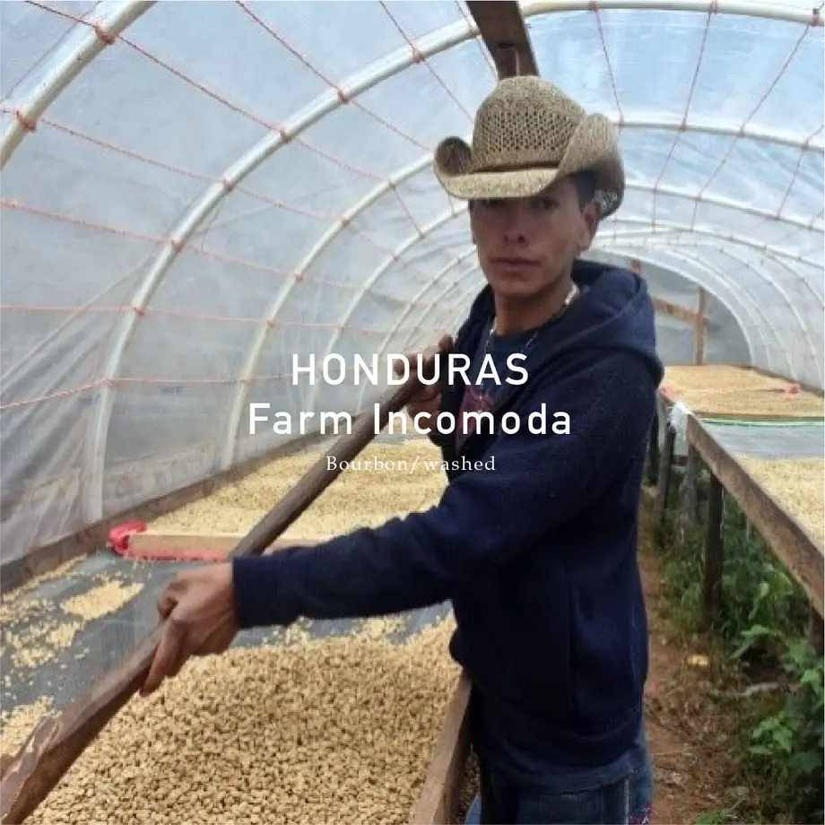 622184904841451ef7d3729b