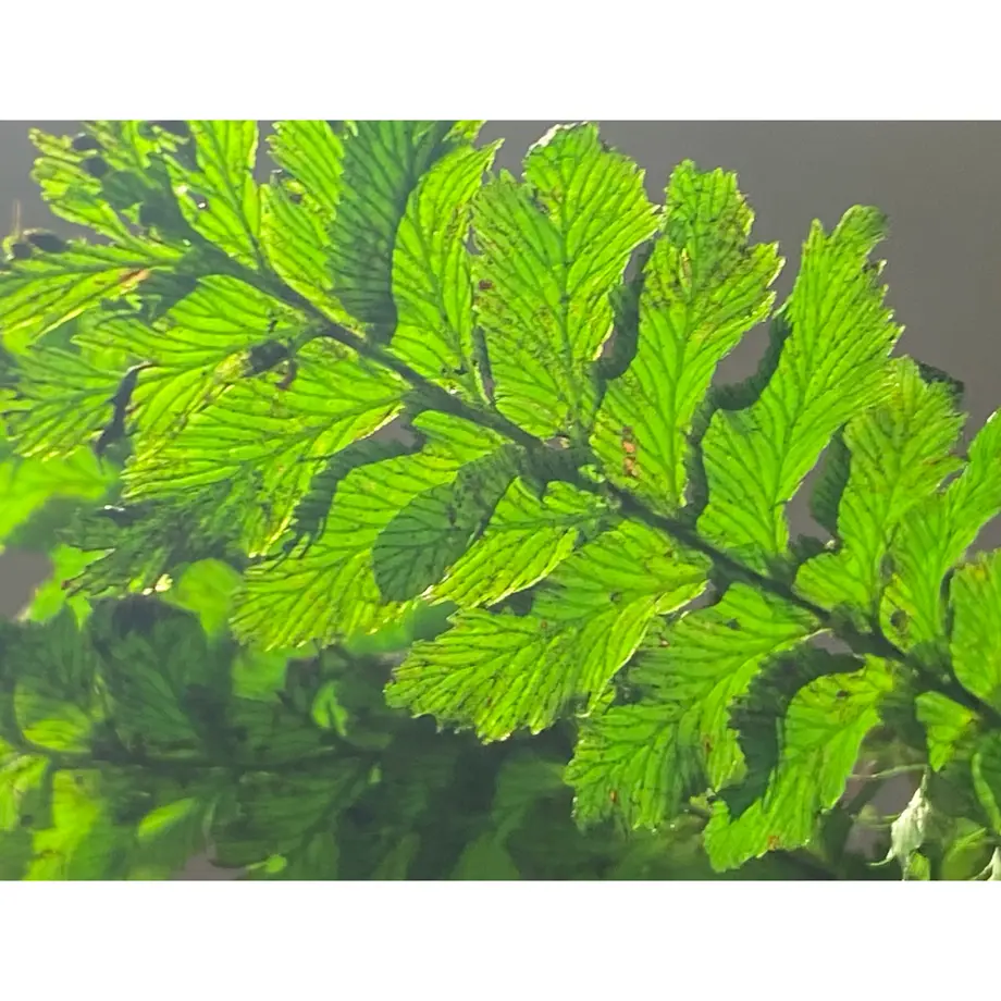 62e91ff5a7e5600a9c03aef4