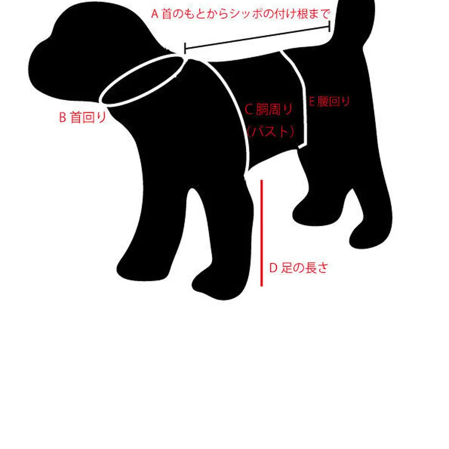 5fbd944eda019c44e17b36e9