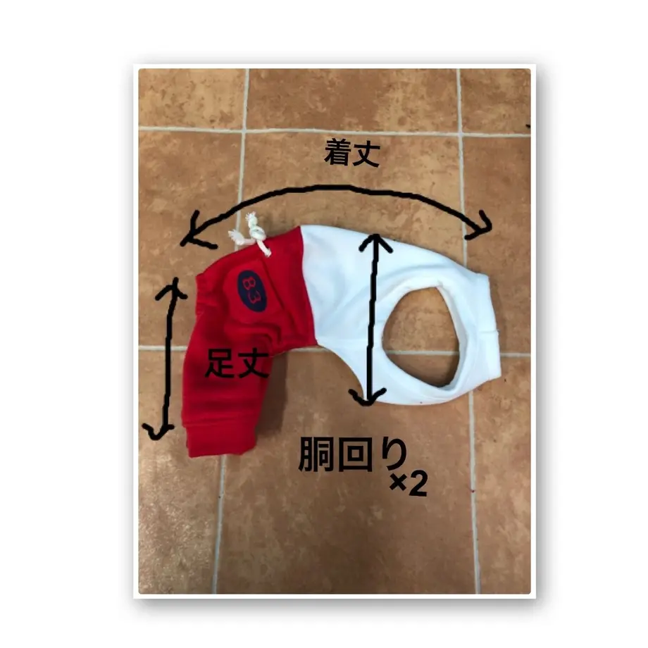 5fbd944eda019c44e17b36e9
