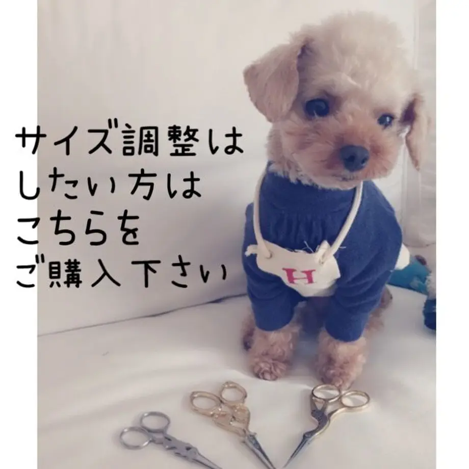 58ad79b541f8e8c7ca00205a
