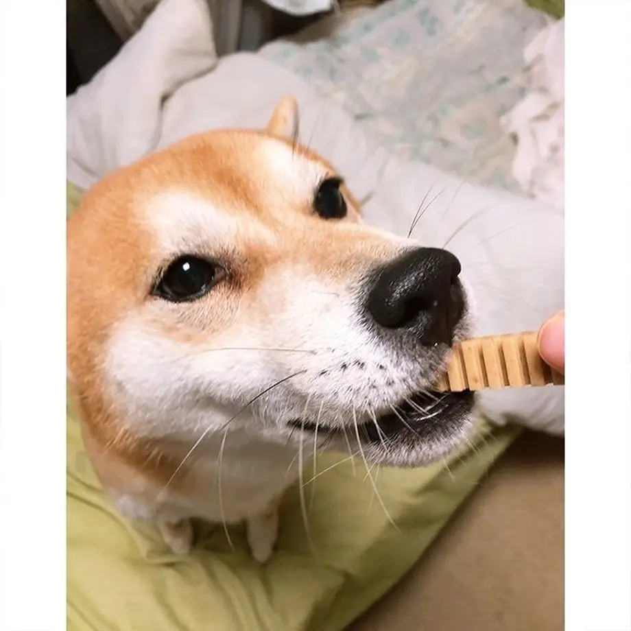 601f6d1b318625232dc9c920