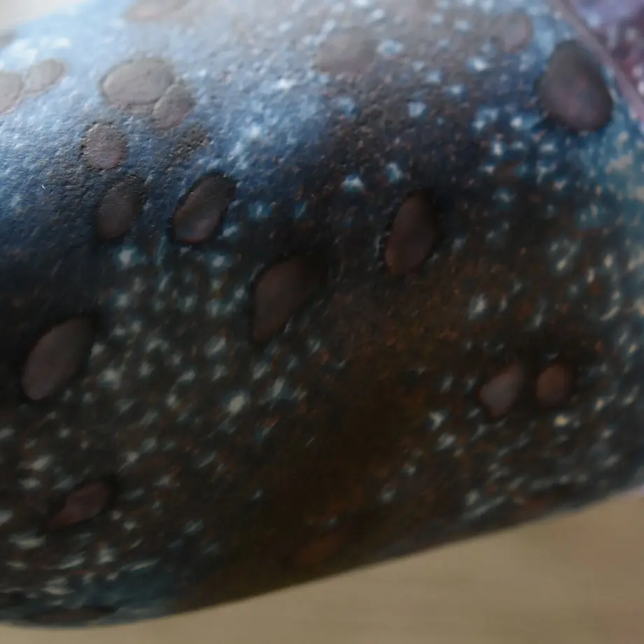 6123841284ca6351929c2415