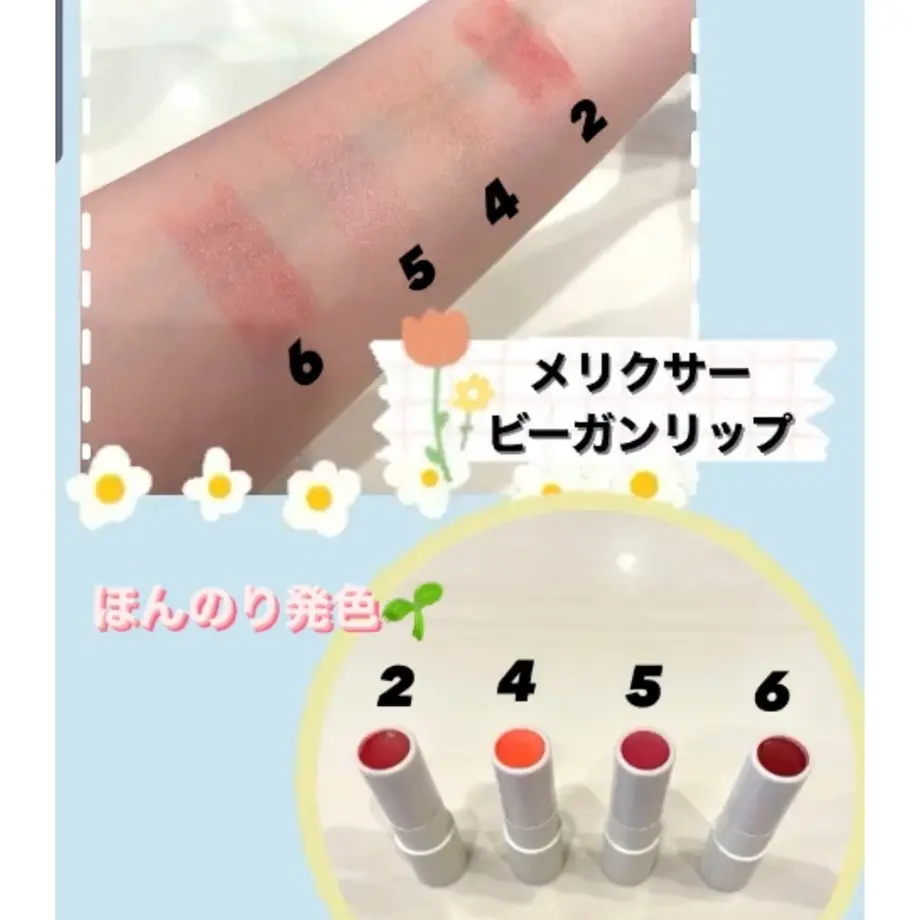 6040a200c19c45398e507a24