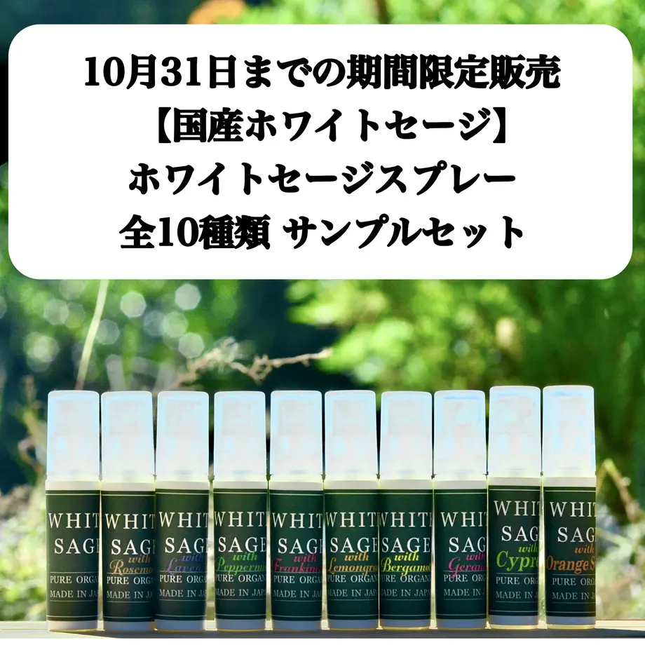 603297ff6e84d55acf5ea788