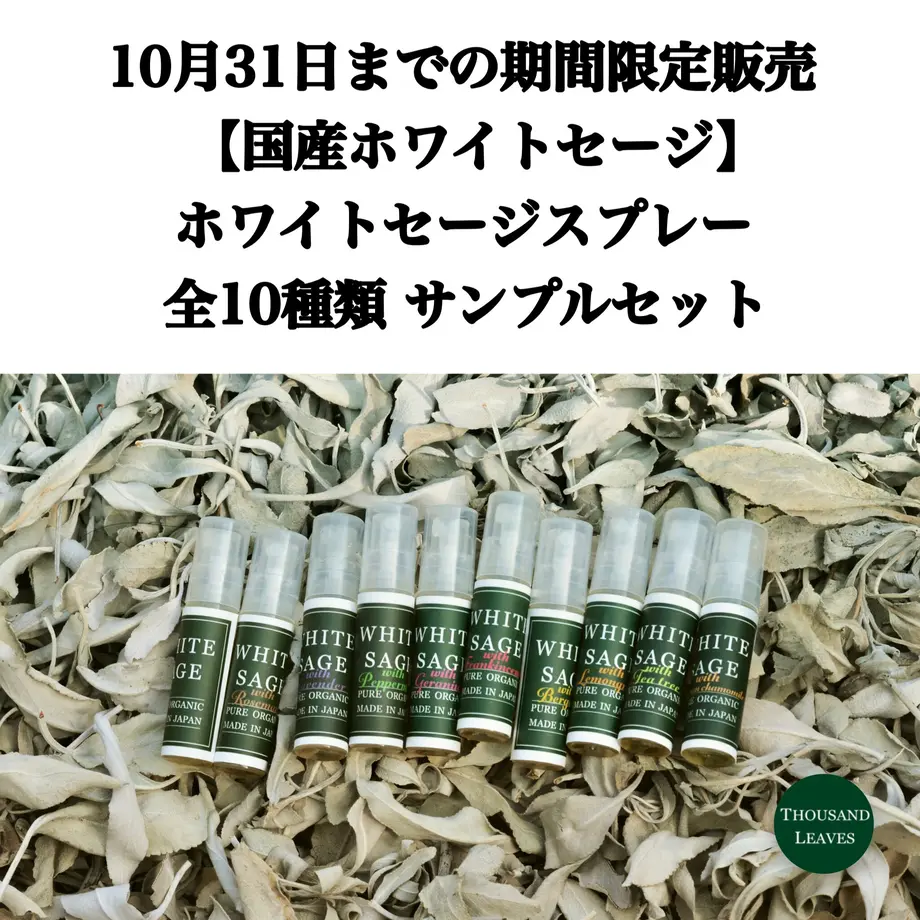 603297ff6e84d55acf5ea788