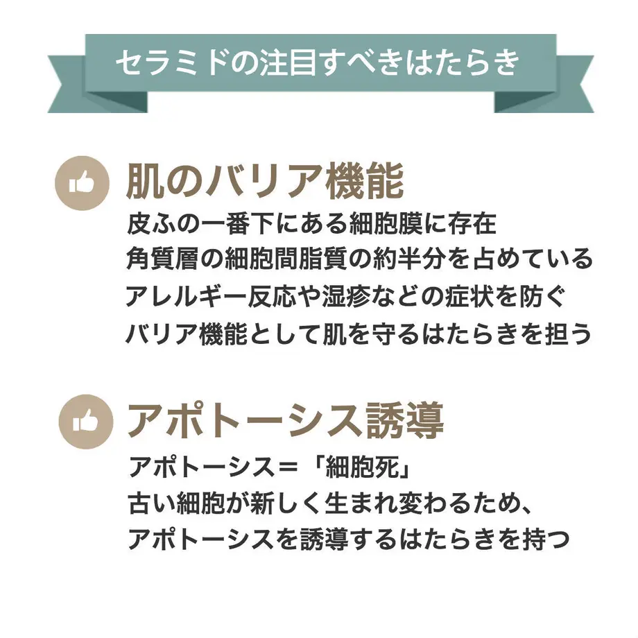 5c7871746a41ea17433c1ce4