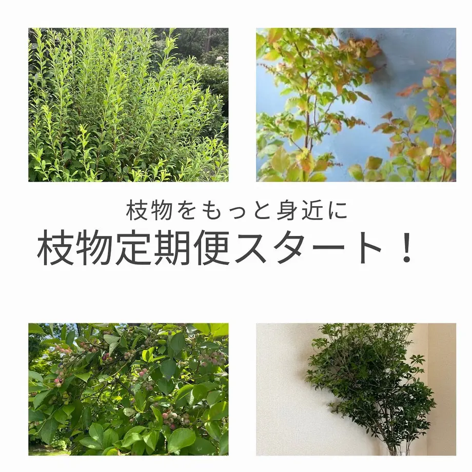 62e3b6a15d05ec117db58ce4