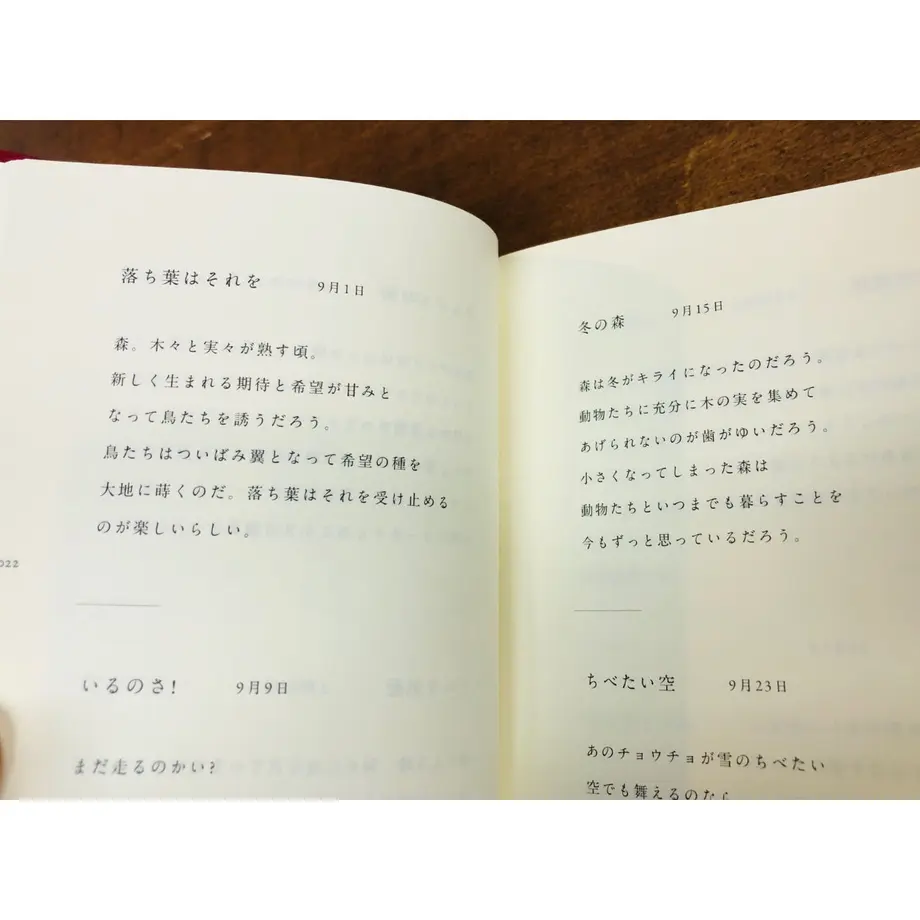 5f3f8cddd7e1d83a34d90585