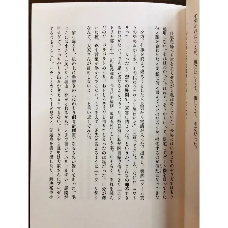 61a9d803c725864e76e43477