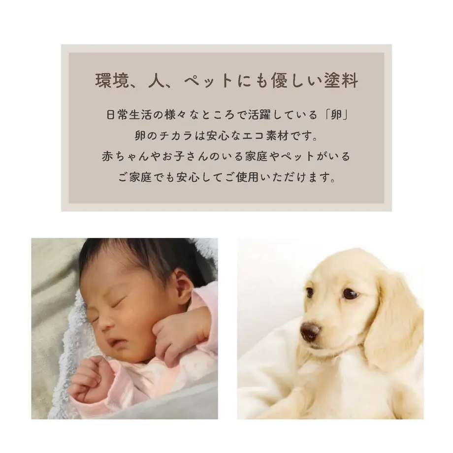 5edf353b55fa035c5f7b9a1f