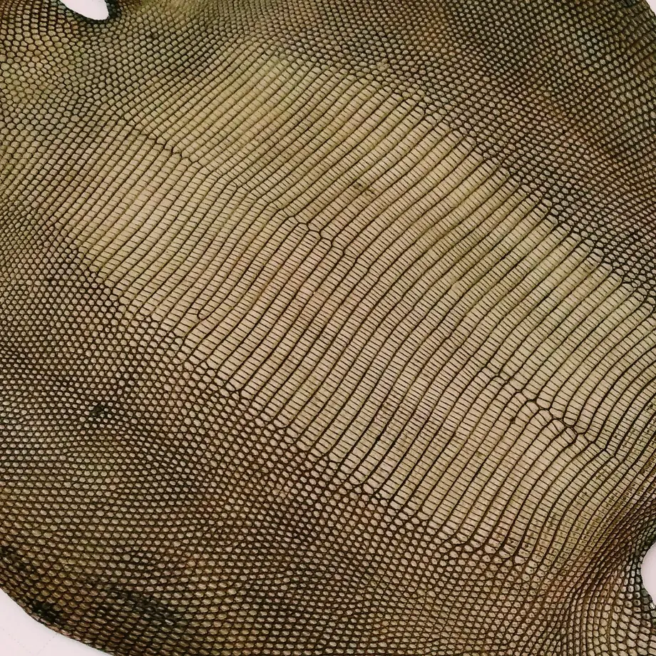 5e96c2ac72b9112359e21e58