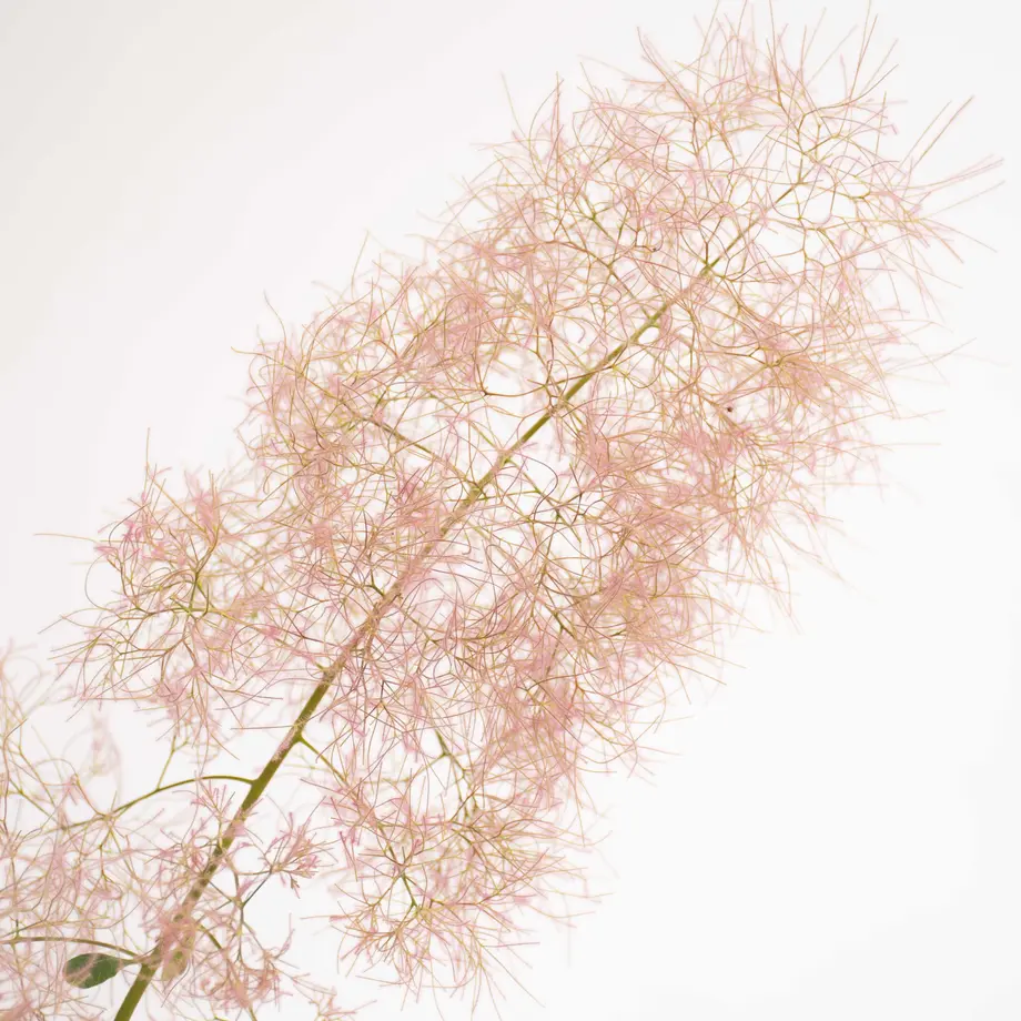60ab59470e2403378ee229e0
