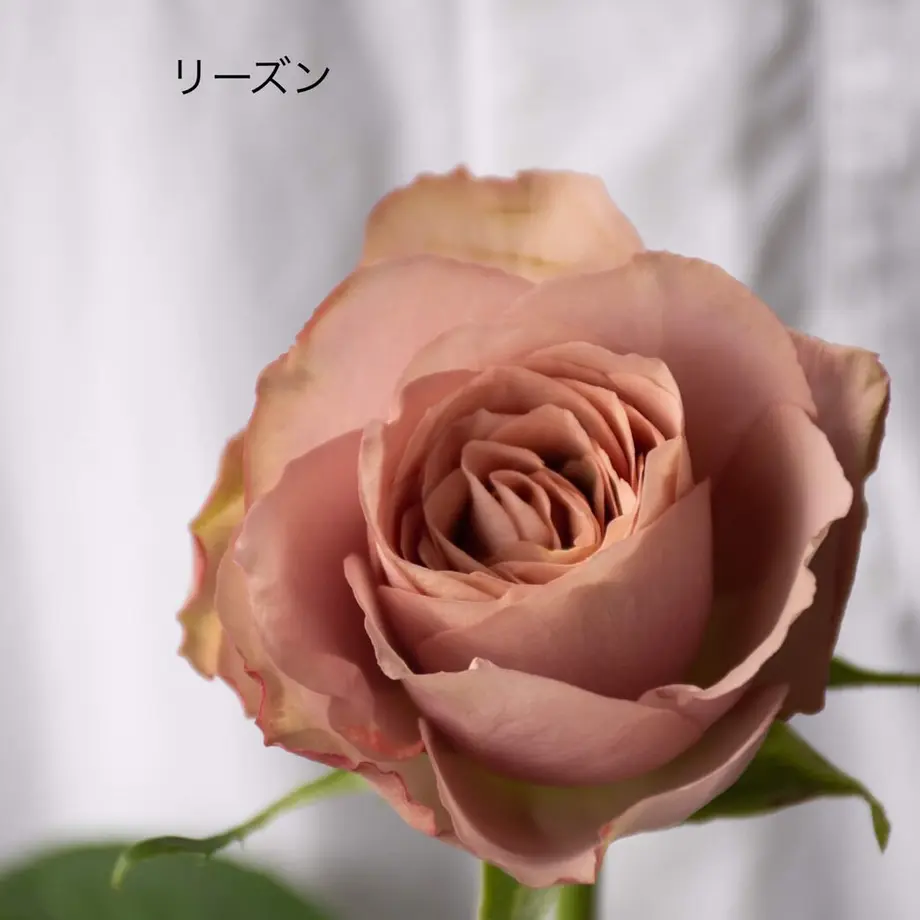 616e8f14a92a783b92d18a92