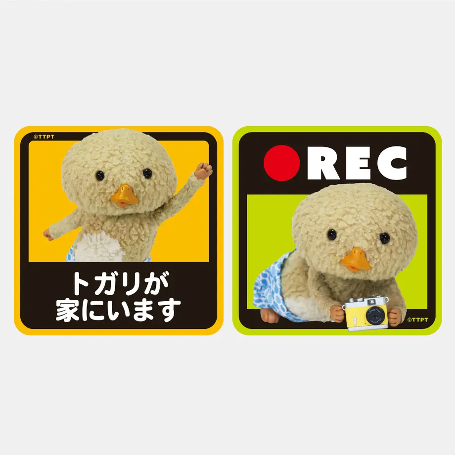 62c573864ff8c26a998c044e