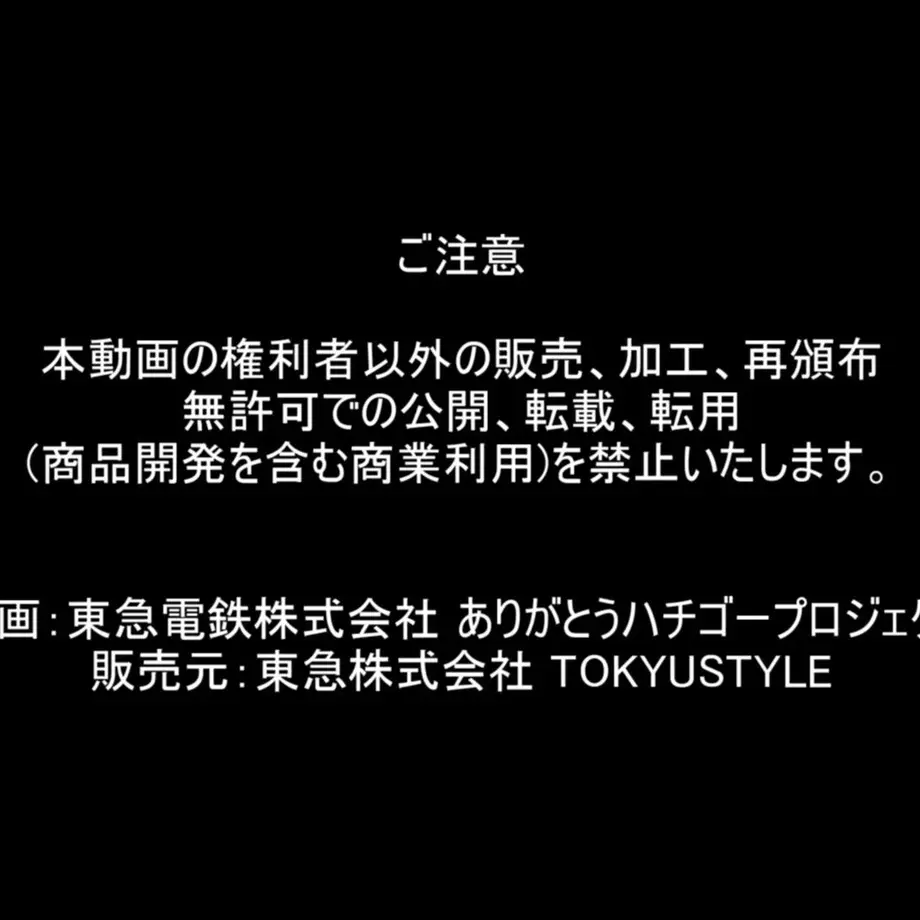 63cb4e9b9fae7152594f2ca2