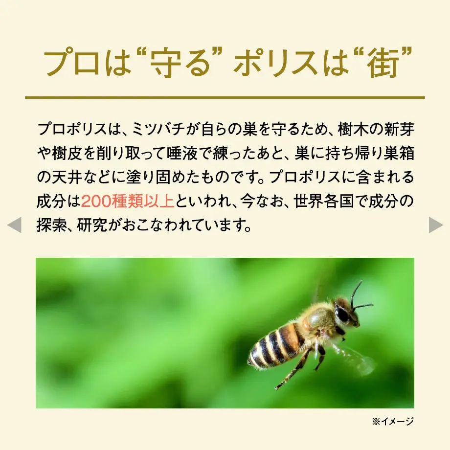 5d243a202e89b71954697be3
