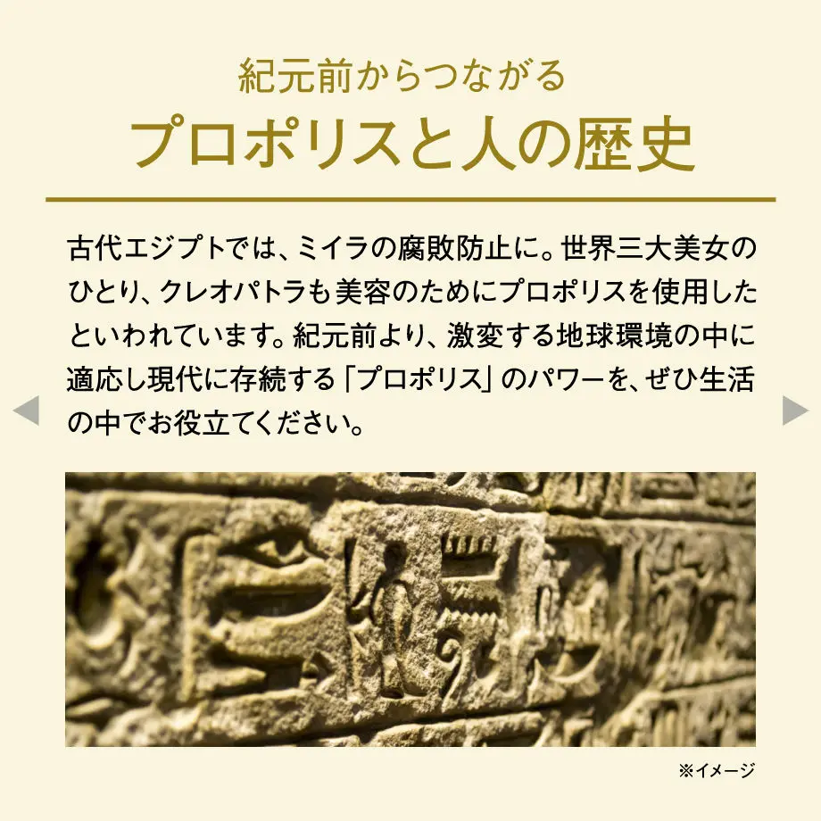 5d243bd666d86c6893058cfe