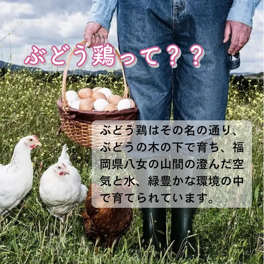 61e7f1f372c5de2a3245b569