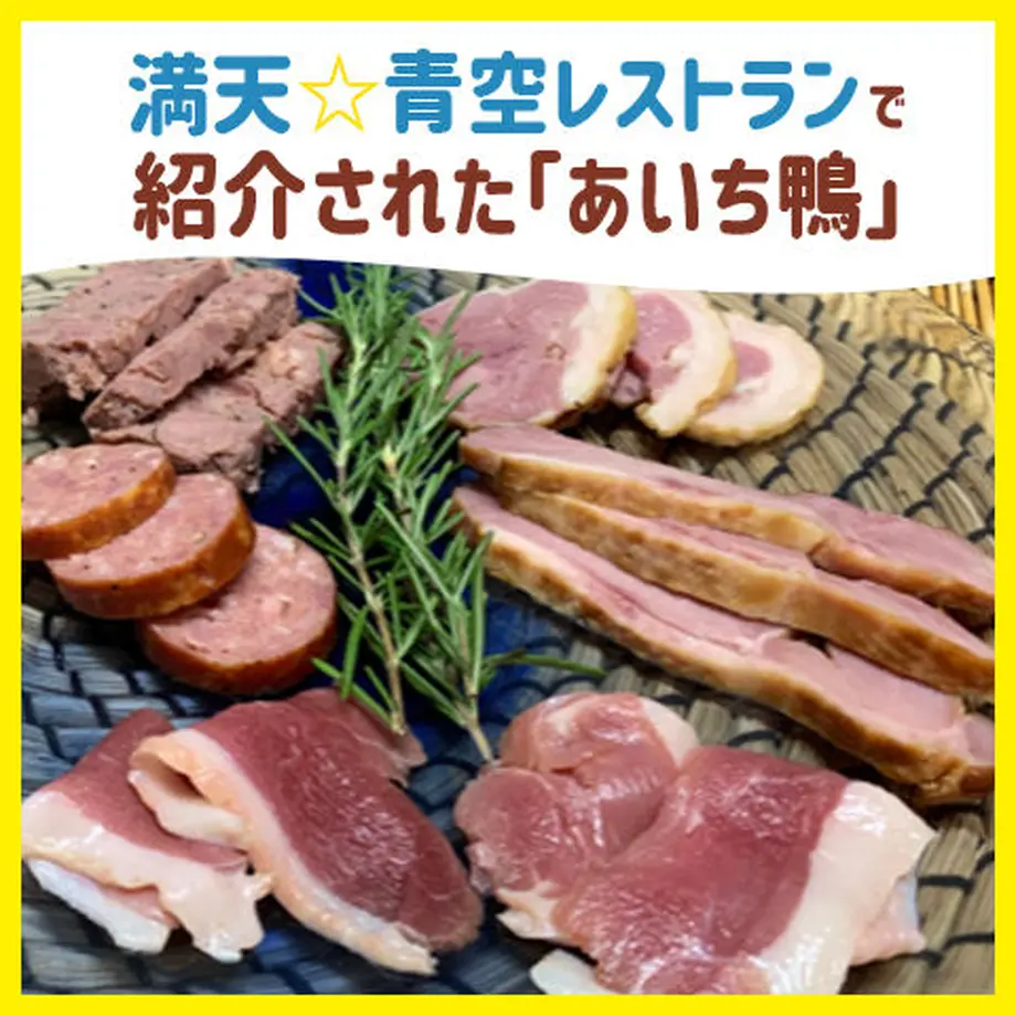 5f044d8aea3c9d73cbe2e67b