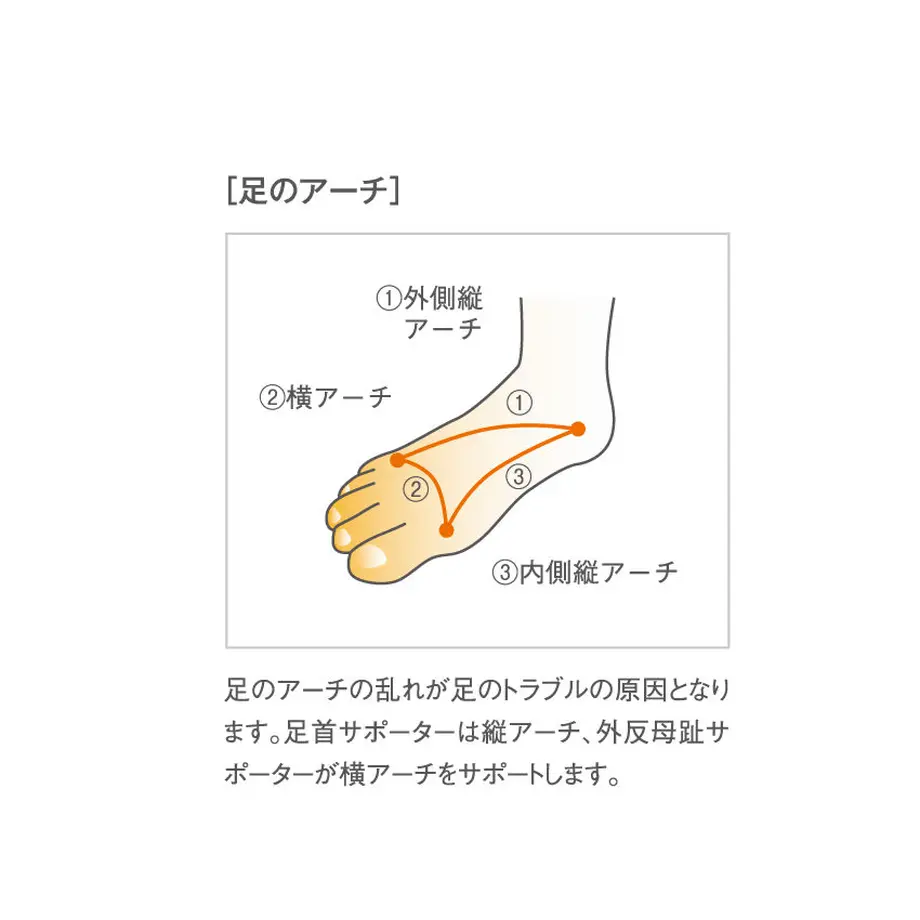 5ec78acf34ef012b55c5ee13