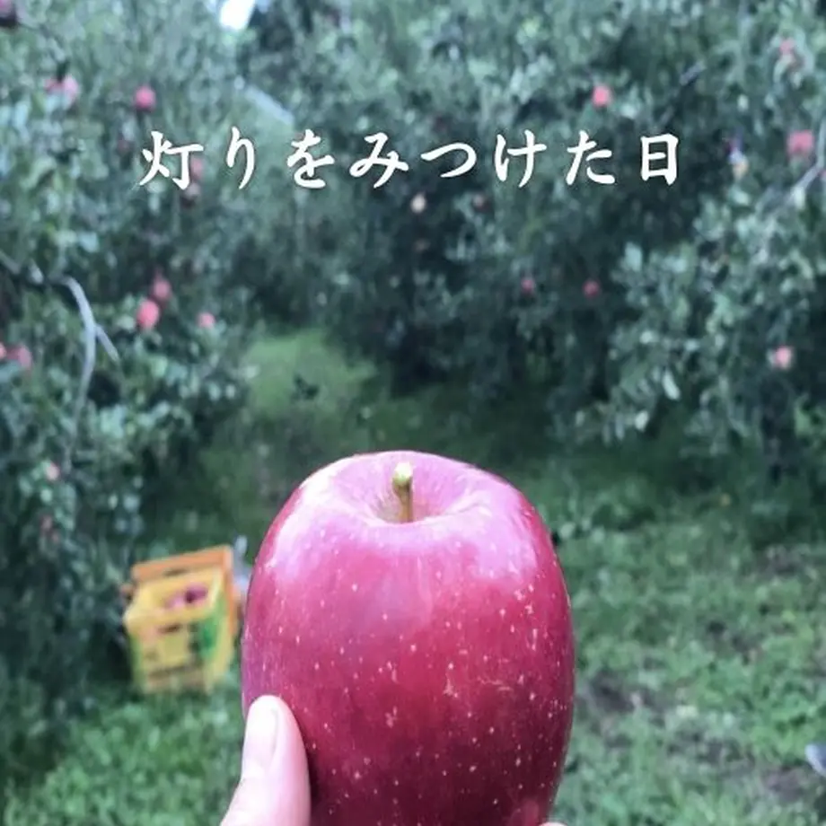 5ef8b979d3f16717c917d286