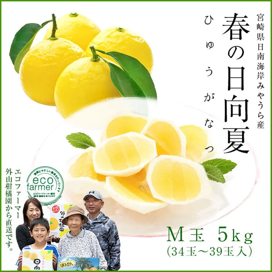 620465d4113ce017c7ba7af6