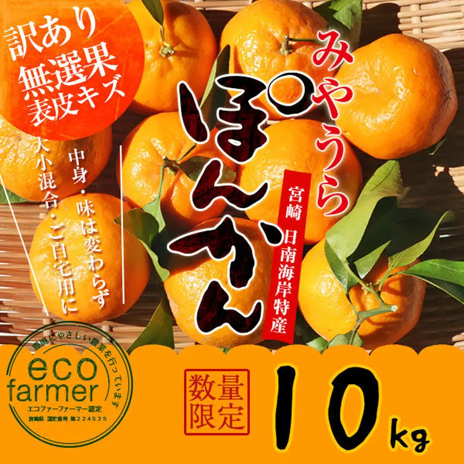 61848eb37d5d8138db0fe2e2