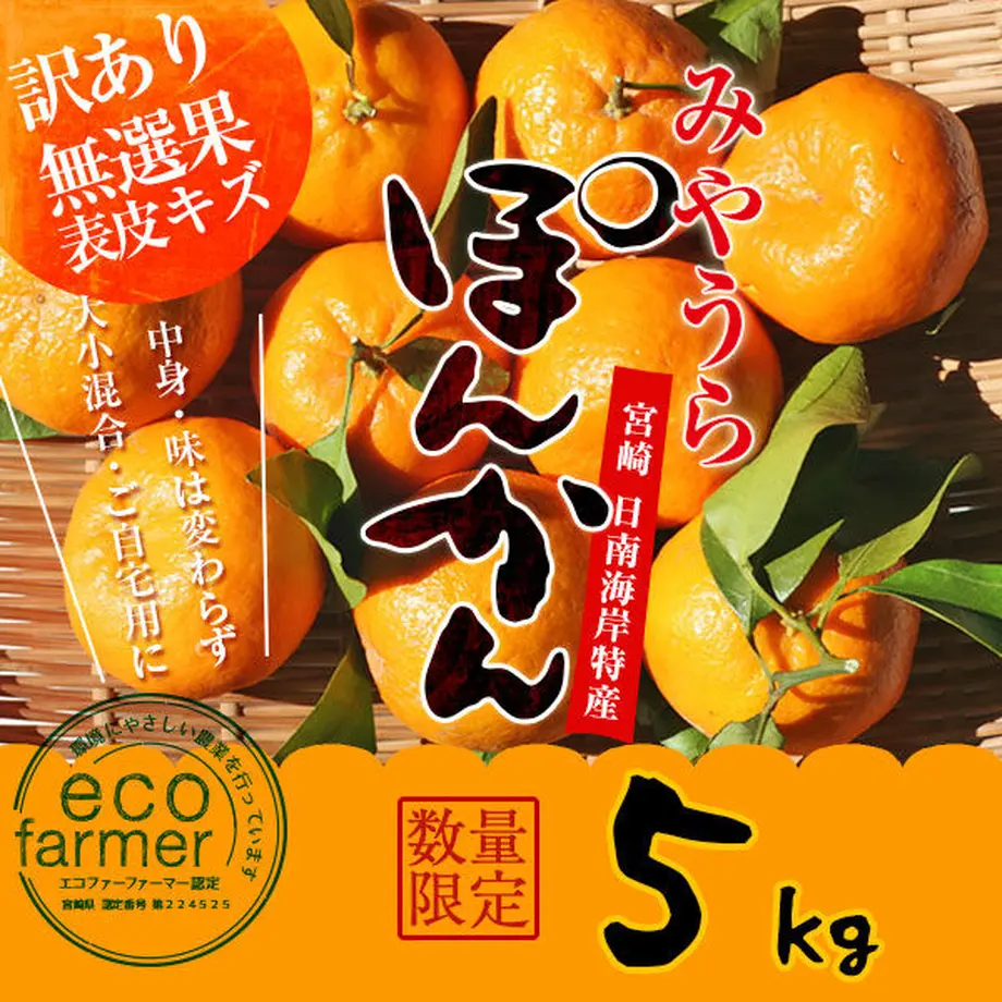 61848f120548e01478d0b9f7