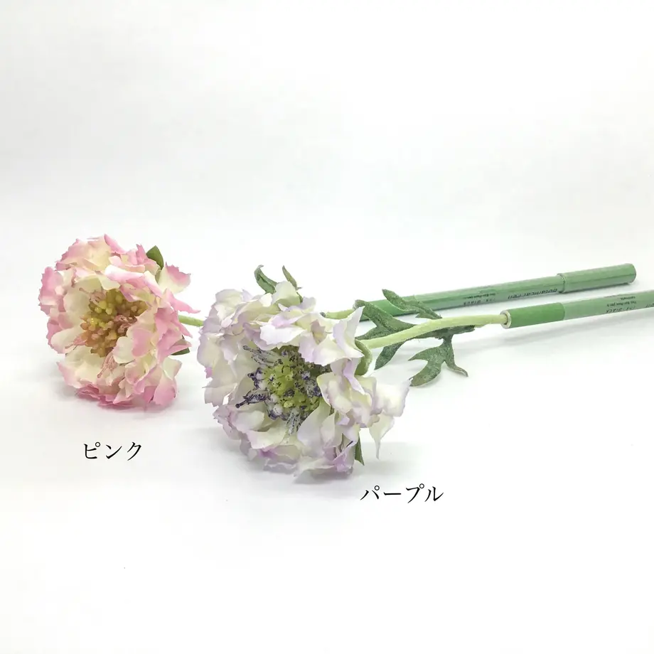 602248cf6e84d534555d0320