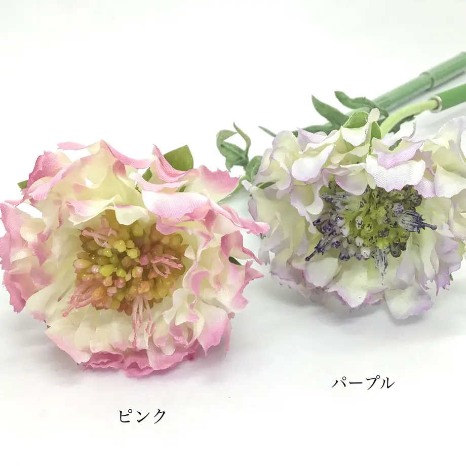 602248cf6e84d534555d0320