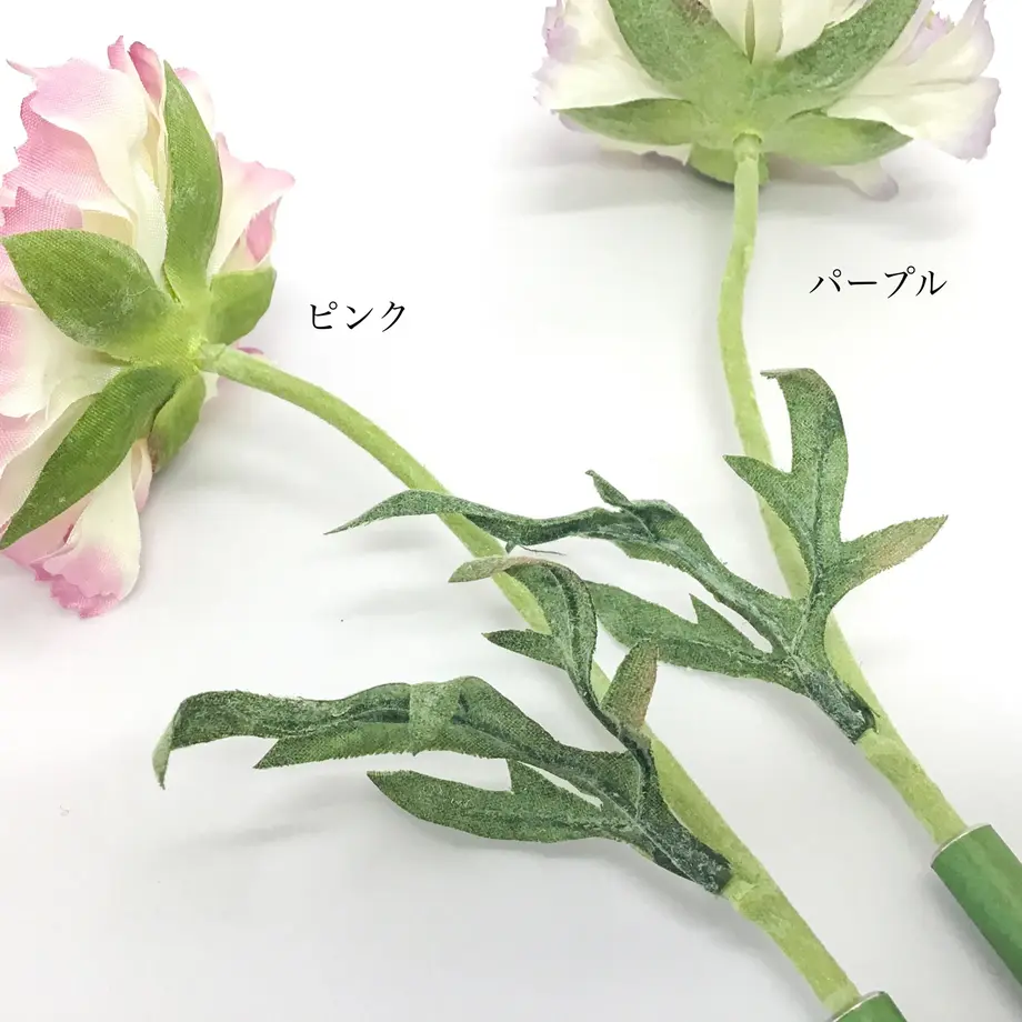 602248cf6e84d534555d0320