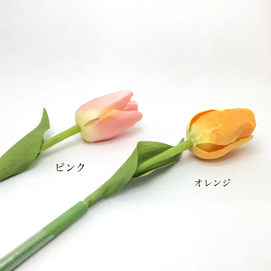 6022269ec19c454e54565b82