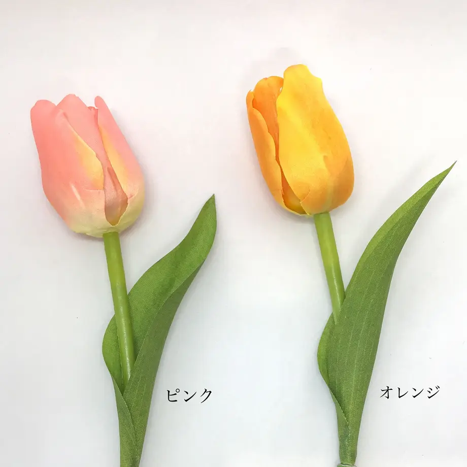 6022269ec19c454e54565b82