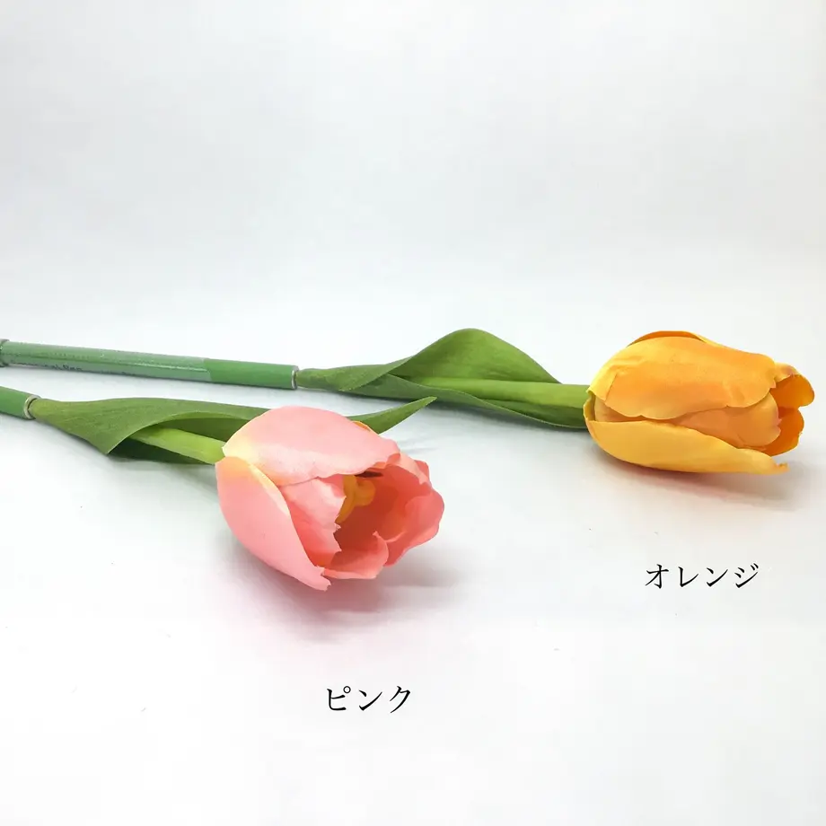 6022269ec19c454e54565b82