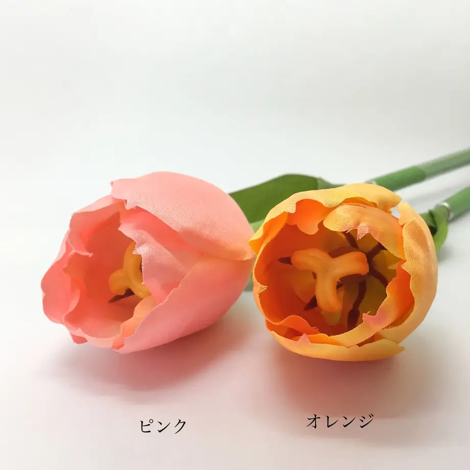 6022269ec19c454e54565b82