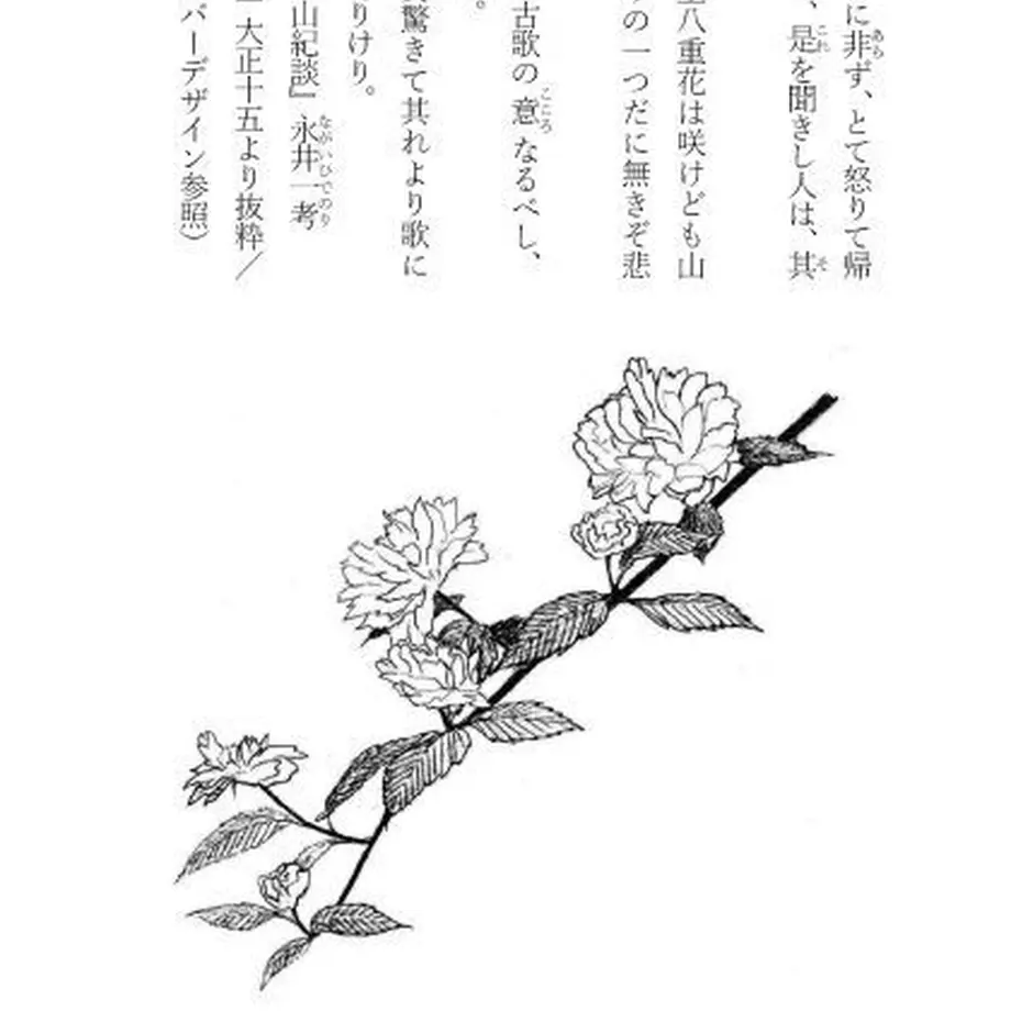 5f041c6fec8fd34403e26efb