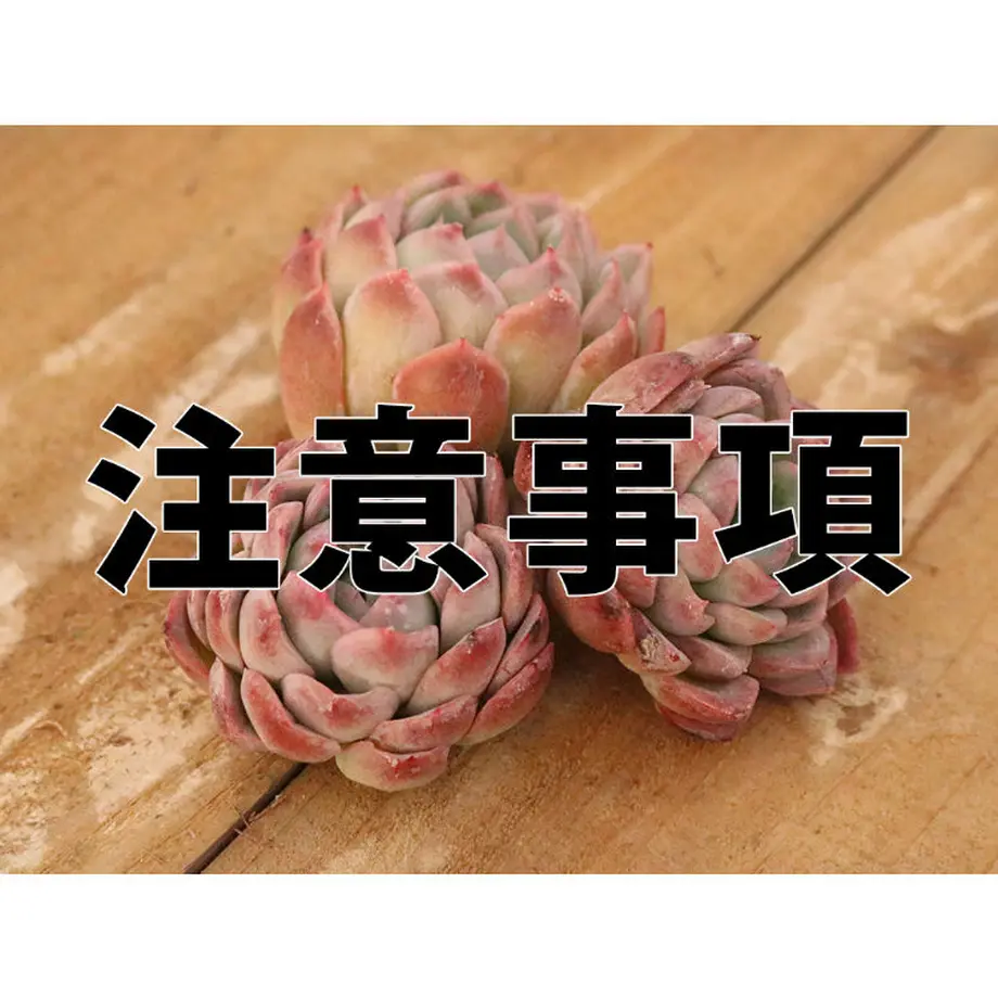 5d1ef3464c806441ae333eca