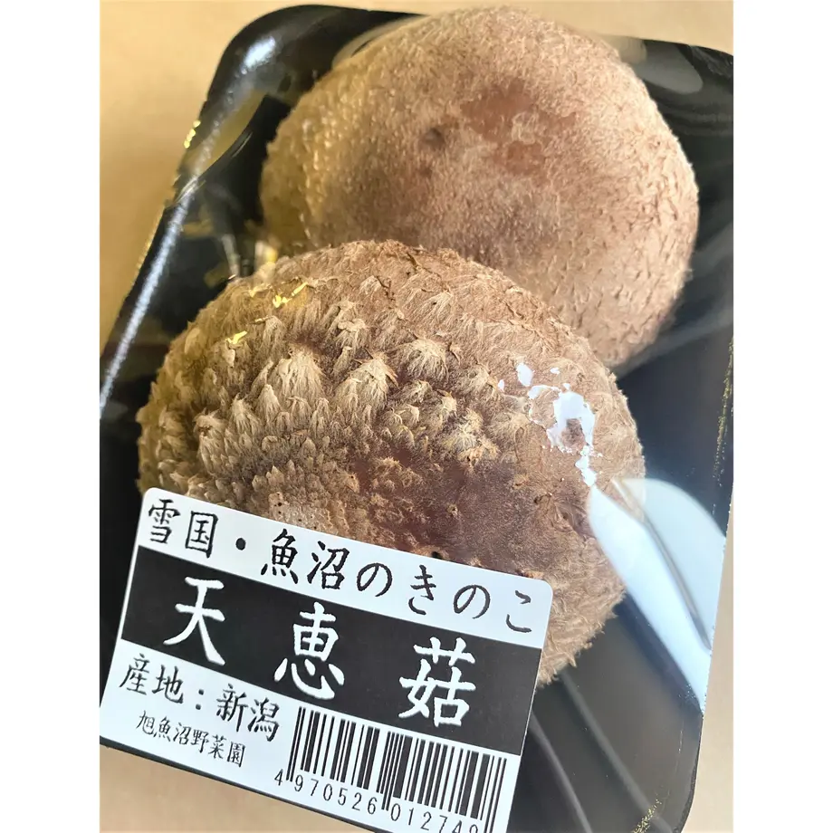 609f840c8899be4235baba40