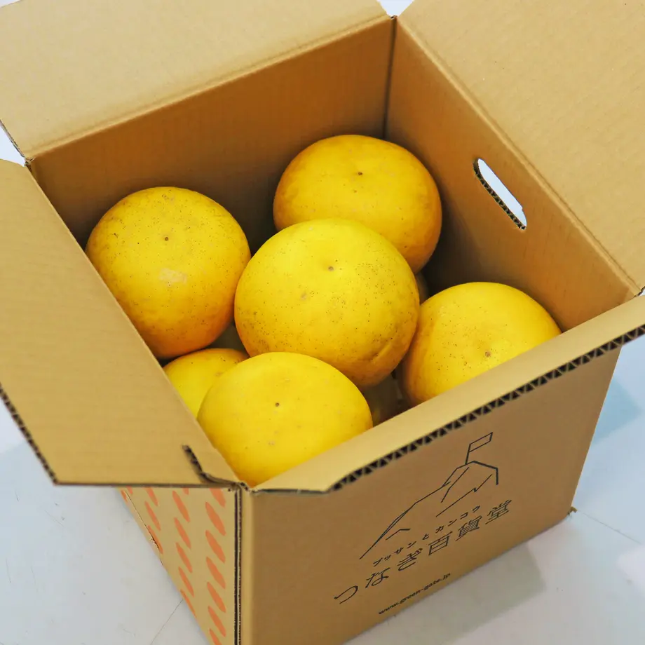 60500adb318625620f3e77e4
