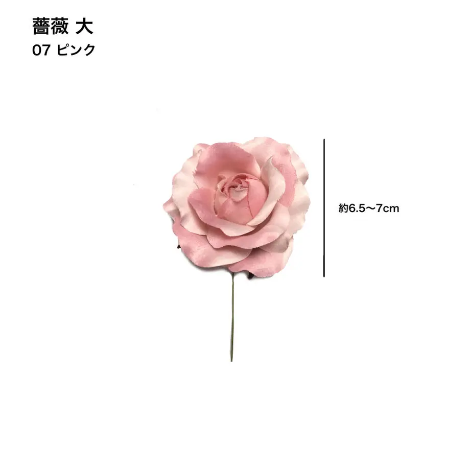 5c6e49623b63655ef26e850e