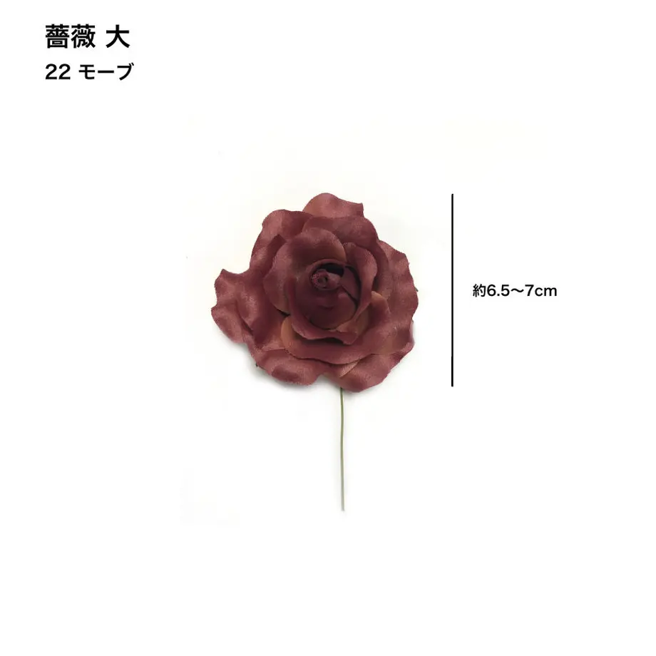 5c6e49623b63655ef26e850e