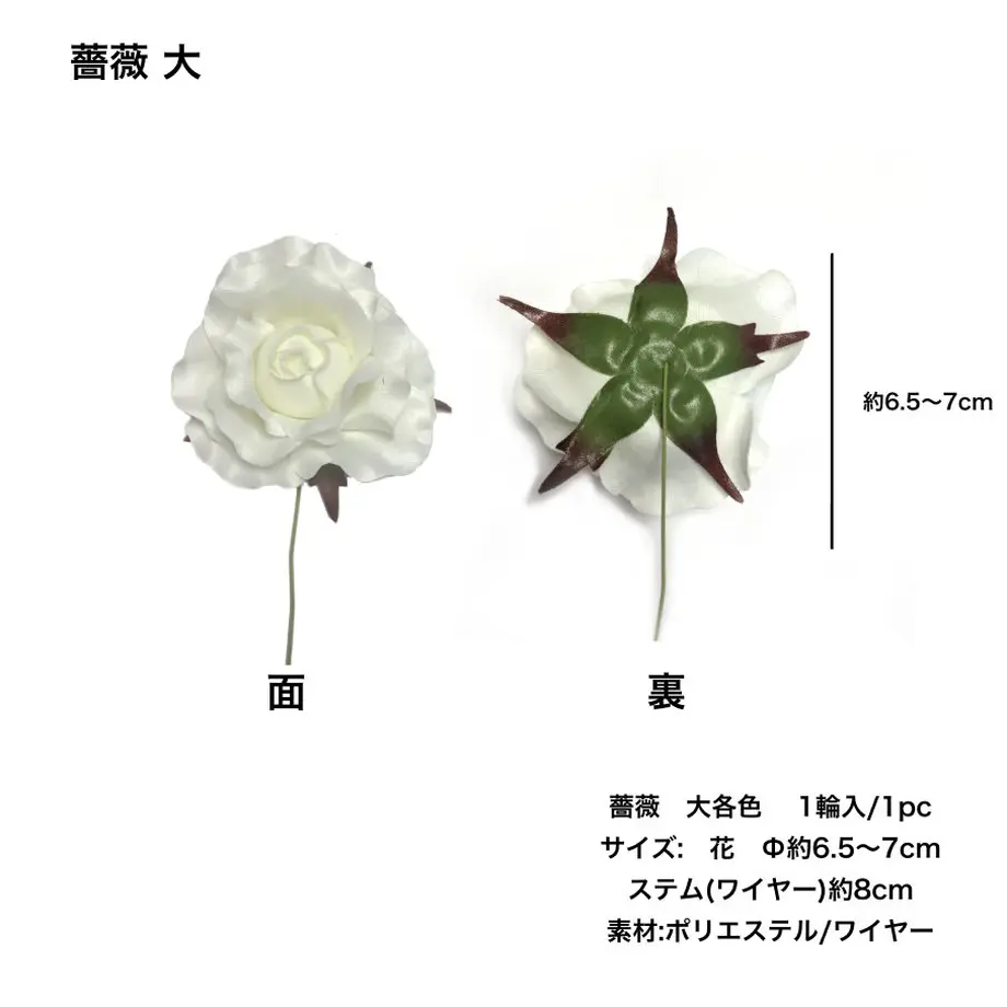 5c6e49623b63655ef26e850e