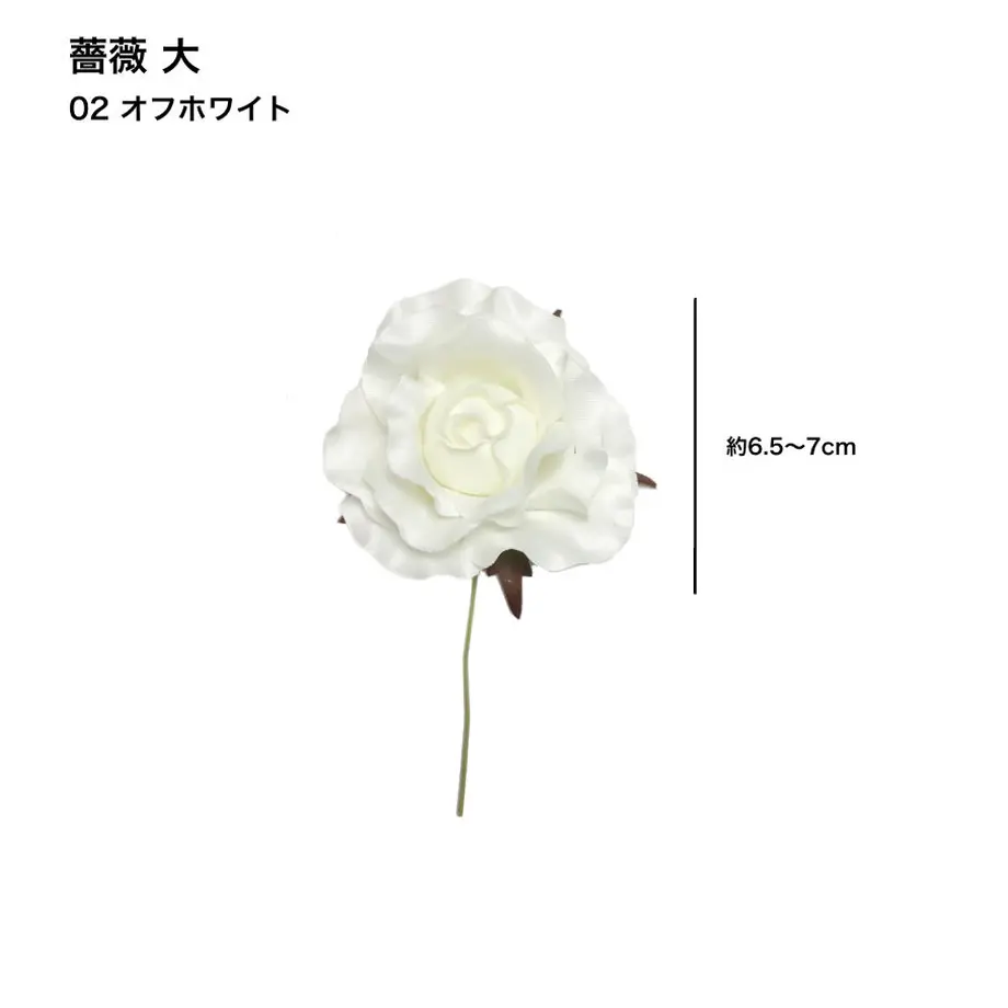 5c6e49623b63655ef26e850e